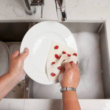 Load image into Gallery viewer, Fly Away Ladybug Swedish Sponge Cloth
